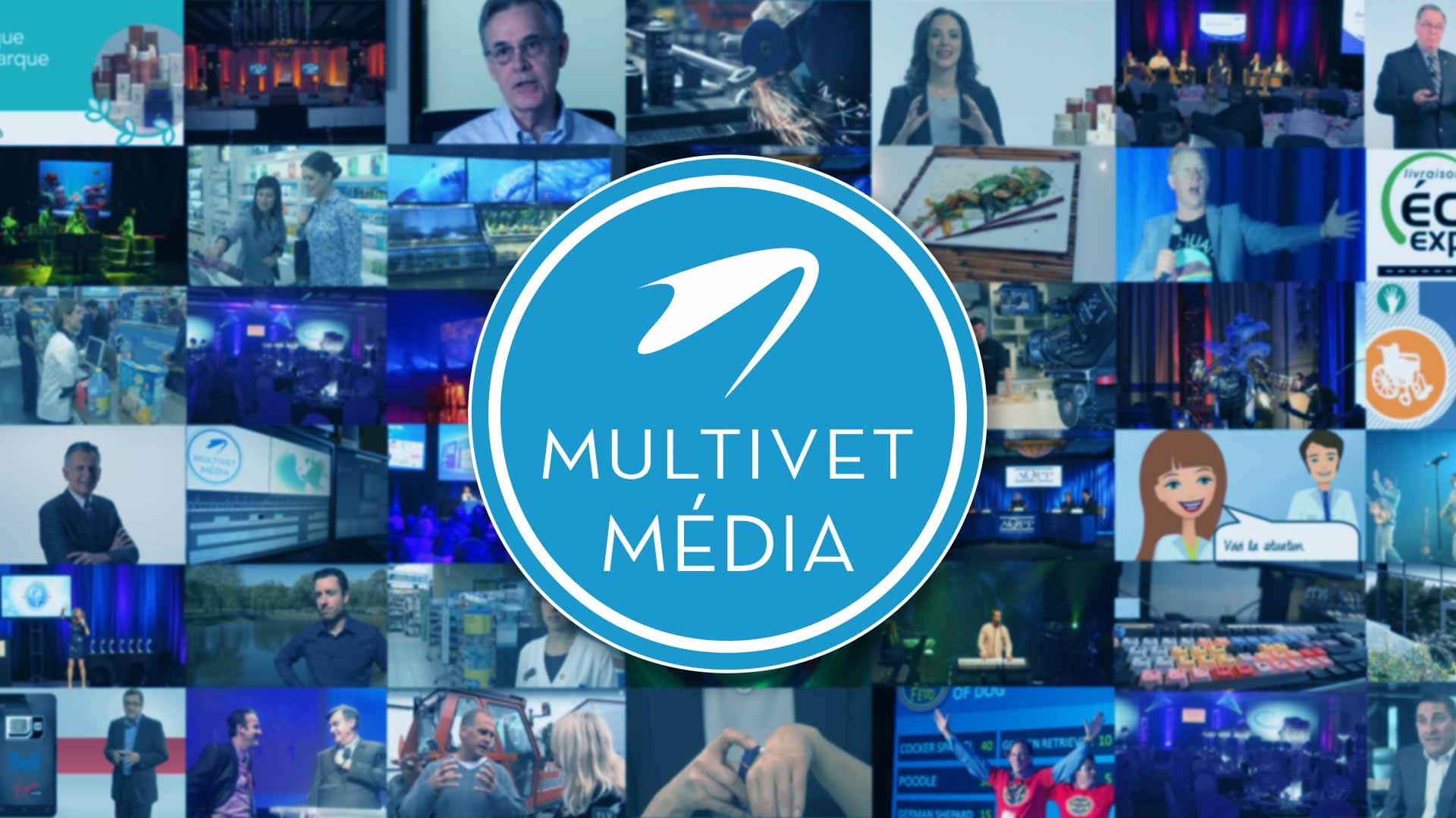 Accueil Multivet Média mosaique